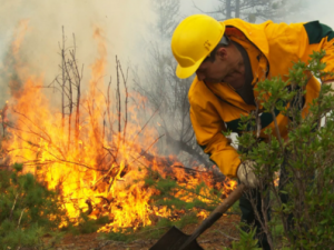 Якутия. Пожары. Фильм Антона Красовского