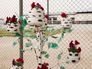 В учреждениях продолжаются работы по благоустройству территорий