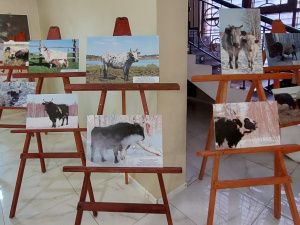 На более чем пять сотен увеличилось поголовье якутского скота за четыре года