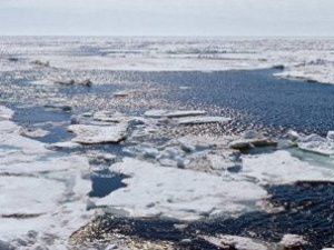 В Якутии проверяют информацию о загрязнении моря Лаптевых