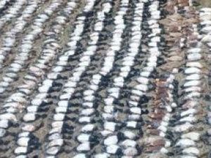 Житель Якутии ответит за незаконную охоту