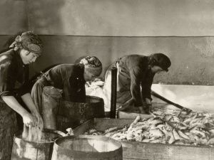 В годы войны в Якутии велась колоссальная работа по восстановлению всех показателей экономики