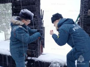 Административная и уголовно‑процессуальная работа органов пожарного надзора Якутии: актуальные данные