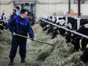 Якутия в лидерах России по количеству предпринимателей в сфере сельского хозяйства