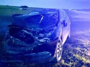 Автомобиль, сбивший лошадей 10 июля, принадлежит супруге Джиды