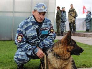 Служебная собака помогла выйти на след потерявшегося в Намском районе пенсионера