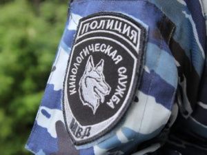 К 110-летию со дня образования  кинологической службы МВД России: Напарники. По следам преступников 