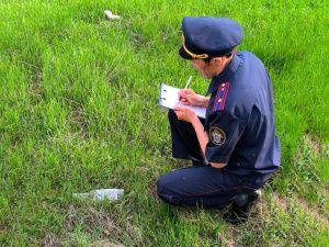 Новых лесных пожаров в Якутии за последние сутки не обнаружили