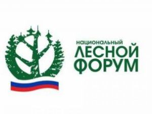 В июне в Якутске пройдет Национальный лесной форум