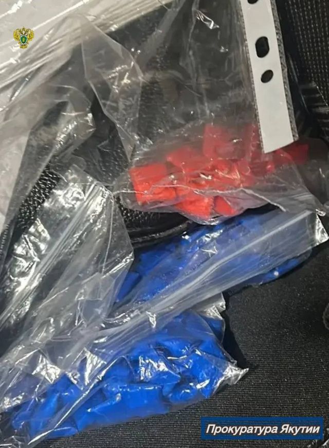 Суд в Нерюнгри отправил наркосбытчицу в колонию общего режима