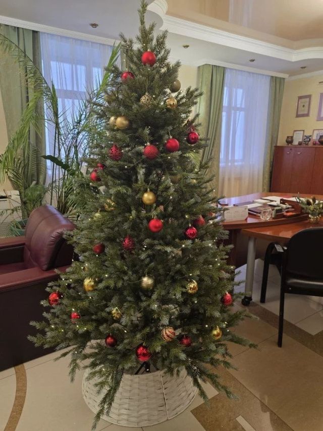 Елки в кабинетах чиновников Якутии: репортаж