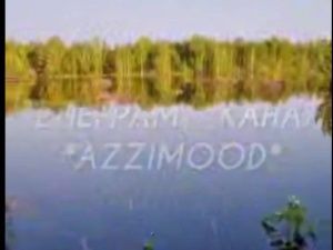 В Алданском районе во время паводка погибли лошади