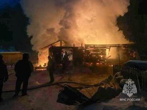 56 коров погибли при пожаре в коровнике в Вилюйском районе Якутии