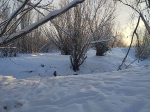 Потепление климата в Якутии? Мягкий ноябрь, но декабрь еще больше удивляет ученых