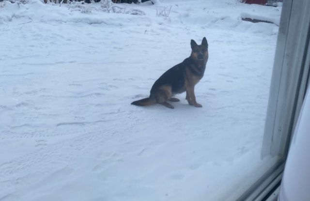 Внимание! Будет почти — 60 градусов