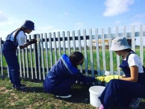 Стройки и промышленность:  министерство молодежи Якутии рассказало о предпочтениях бойцов студотрядов в 2023 году