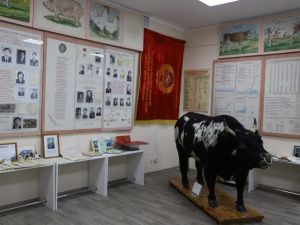 Музею племенного животноводства Якутии присвоили имя Марии Маппыровой