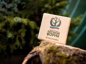 Около 300 представителей разных регионов приедут в Якутск на Национальный лесной форум