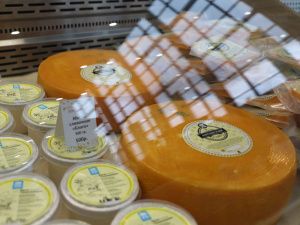 В первый день выставки «Золотая осень» сельхозпроизводители Якутии завоевали 5 медалей