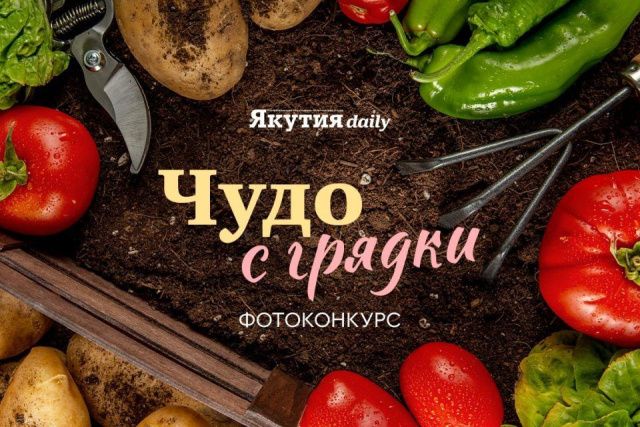 Стартовало голосование фотоконкурса «Чудо с грядки»