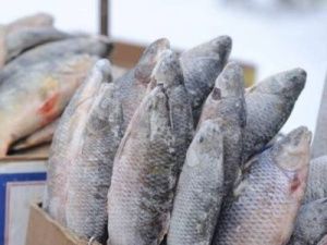 В Якутске пройдёт выставка-ярмарка «Рыба Якутии»