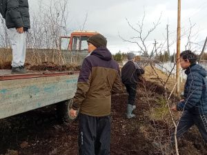В Якутии объявлены итоги Республиканской семейной экологической акции «Посади семейное дерево»