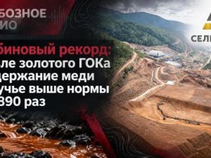 Рябиновый рекорд: возле золотого ГОКа  содержание меди в ручье выше нормы в 3890 раз 