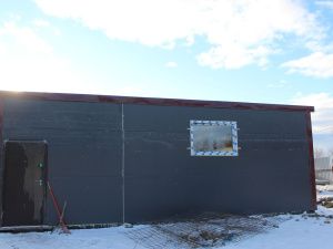 Приют для безнадзорных животных открылся в Покровске