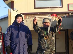 В селе Болугур Амгинского улуса ввели два коровника для якутской породы скота