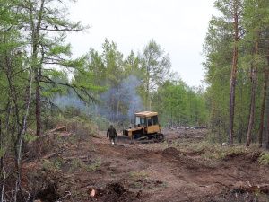 В Усть-Алданском районе двум наслегам предстоит исполнить предписание по прокладке минерализованных полос