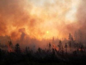 Якутия получит свыше 873 миллионов рублей на борьбу с лесными пожарами