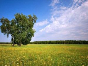 В Якутии разработана геоаналитическая информационная система