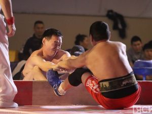 Мегино-Кангаласский улус вновь стал победителем чемпионата Якутии по мас-рестлингу