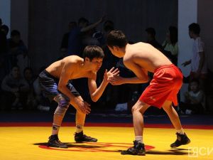 Верхневилюйский район вернул себе Кубок Федерации по хапсагаю