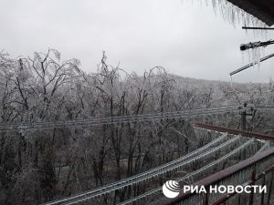 Во Владивостоке ввели режим ЧС