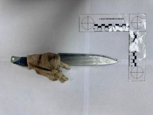 В Якутске мужчина с психическим расстройством совершил кражу и пытался убить человека