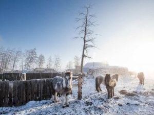 Спрос на экстремальные туры в Якутию заметно вырос в январе