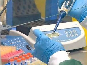 В Якутии выявлено 313 новых случаев коронавирусной инфекции