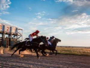 Администрация Хангаласского улуса незаконно выделила предпринимателю миллион на содержание скакунов