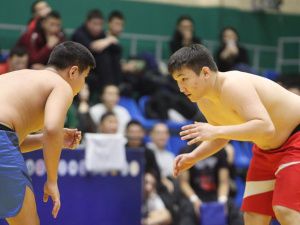 Абсолютными чемпионами Якутии по хапсагаю среди юниоров стали Сергей Николаев и Андриан Ленский