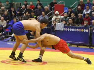 Борцы Тимур Николаев и Никита Софронов завоевали титулы абсолютных чемпионов турнира Ноговицыных