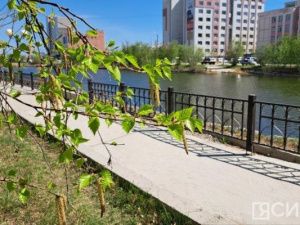 Россиян на следующей неделе ждет дополнительный выходной