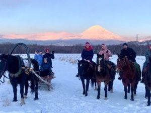 Новый год на «дальневосточных гектарах»: участники программы приглашают гостей 