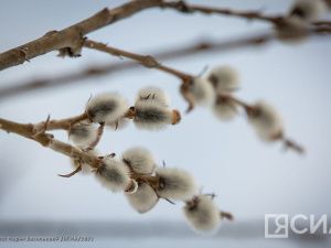 Народные приметы на 4 апреля 2024 года: что нельзя делать в этот день