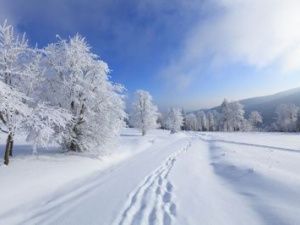 В Якутске днем заметно потеплеет