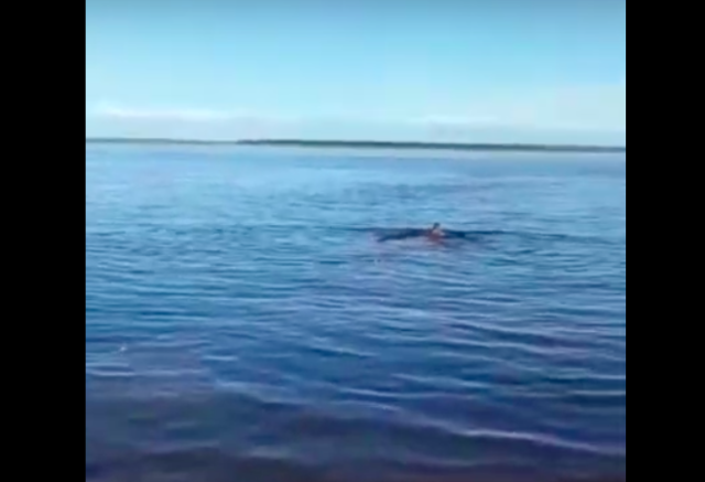 Проведение санобработки подъездов жилых домов в Якутске на 18 часов 14, 15 и 16 августа