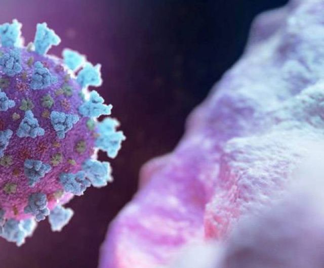 Ответы на часто задаваемые на прямую линию вопросы о коронавирусе