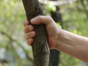 60-летний житель Якутии сломал супруге руку, ударив палкой во время ссоры