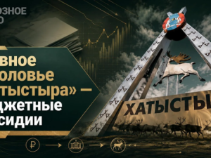 Главное поголовье «Хатыстыра» — бюджетные субсидии