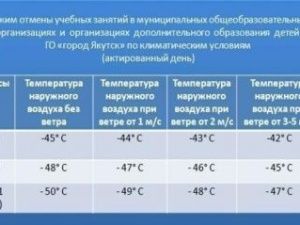 Минус 48, безветренно: у старшеклассников состоятся занятия в школах